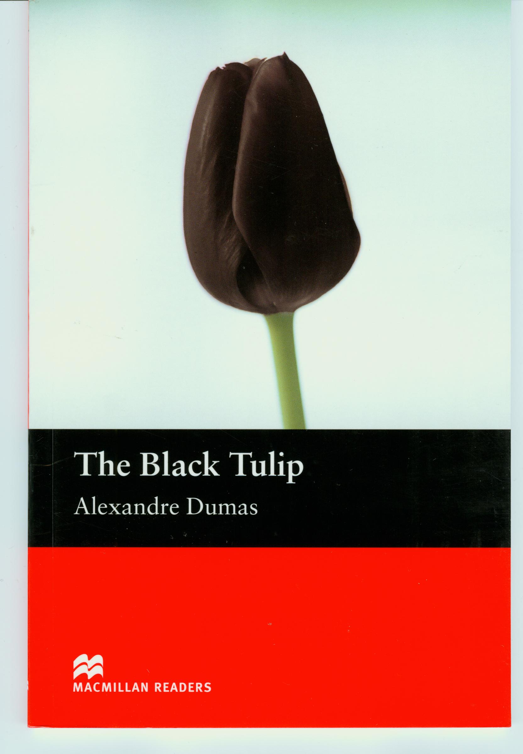 《the black tulip》