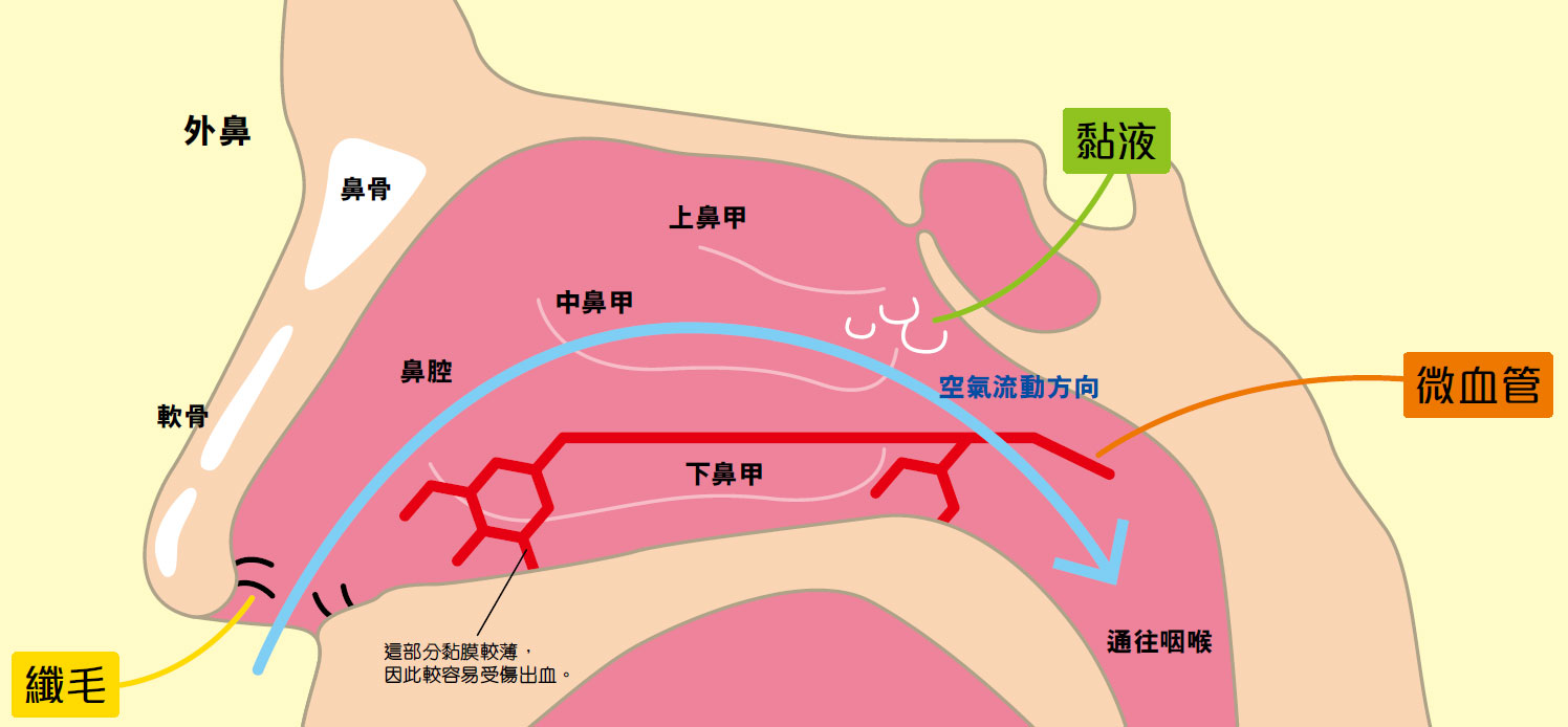 口水 算 體液 嗎